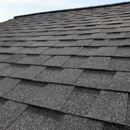 Asphalt Shingle Roof Cleaning